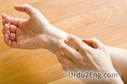 itch Urdu Meaning