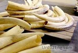 ivory Urdu Meaning