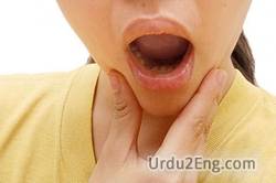 jaw Urdu Meaning