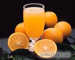 juice Urdu Meaning