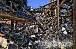 junk Urdu Meaning