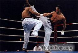 karate Urdu Meaning