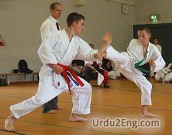 karate Urdu Meaning
