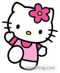 kitty Urdu Meaning
