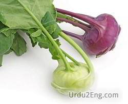 kohlrabi Urdu Meaning
