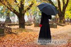 lament Urdu Meaning