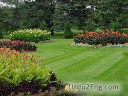 lawn Urdu Meaning