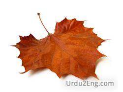 leaf Urdu Meaning