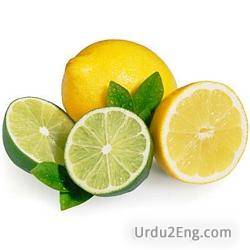 lime Urdu Meaning