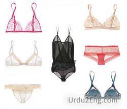 lingerie Urdu Meaning