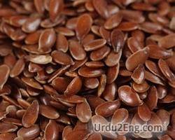 linseed Urdu Meaning