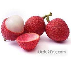 litchi Urdu Meaning
