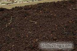 loam Urdu Meaning