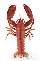lobster Urdu Meaning