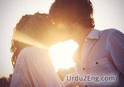 lovebird Urdu Meaning