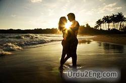 lover Urdu Meaning