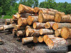 lumber Urdu Meaning