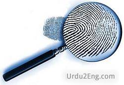 magnify Urdu Meaning