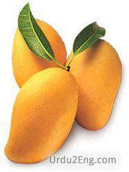 mango Urdu Meaning