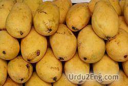 mango Urdu Meaning