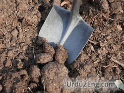 manure Urdu Meaning