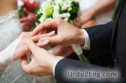 marry Urdu Meaning