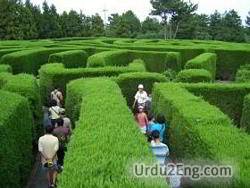 maze Urdu Meaning
