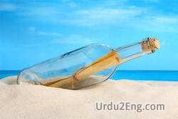 message Urdu Meaning