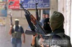 militant Urdu Meaning