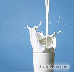 milk Urdu Meaning