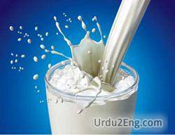 milk Urdu Meaning