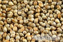 millet Urdu Meaning