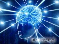 mind Urdu Meaning