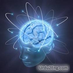 mind Urdu Meaning