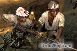 miner Urdu Meaning