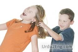 misbehave Urdu Meaning