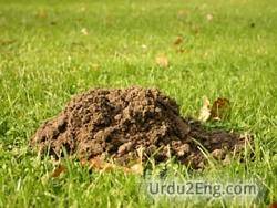 molehill Urdu Meaning