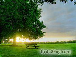 morning Urdu Meaning
