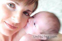 mother Urdu Meaning