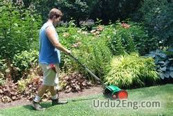 mower Urdu Meaning