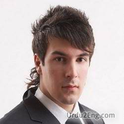 mullet Urdu Meaning
