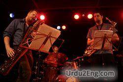 musician Urdu Meaning