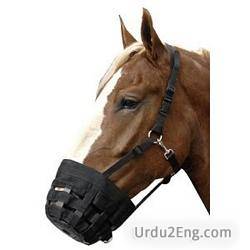 muzzle Urdu Meaning
