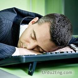 nap Urdu Meaning