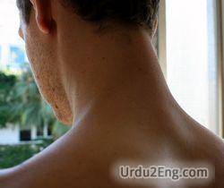 nape Urdu Meaning