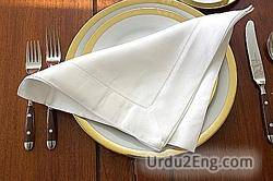napkin Urdu Meaning