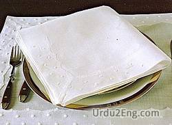 napkin Urdu Meaning