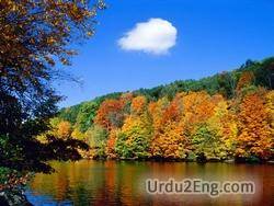 nature Urdu Meaning