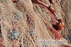 net Urdu Meaning