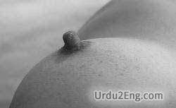nipple Urdu Meaning